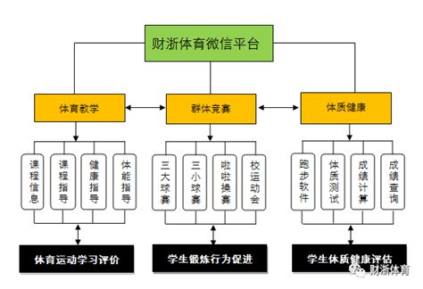 体育教育分析报告