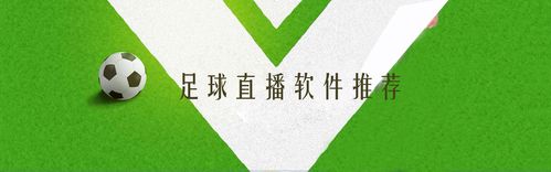 制定一个综合计划，通过足球直播吧手机版实现目标