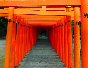 日本靖国神社涂鸦事件，公审背后的反思